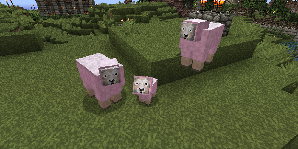 If you, or someone you know has lost a pink sheep, please contact the mayor...